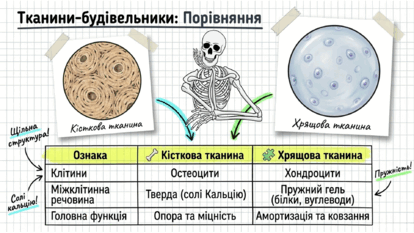 09025xmk-bb0a-414x233.png