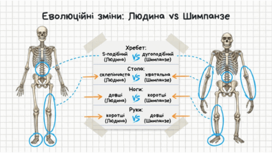 09025xnc-df93-395x222.png