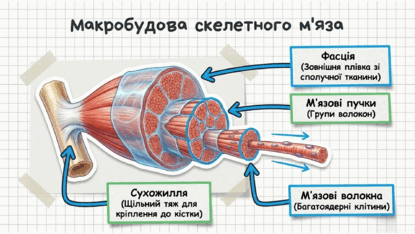 09025xnd-80d8-415x234.png