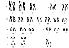 09025y7d-5aa9-266x185.png
