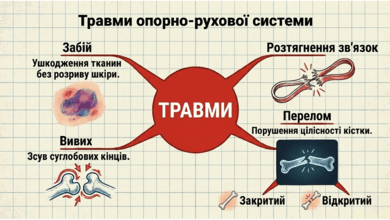 09025yhf-7423-390x220.png