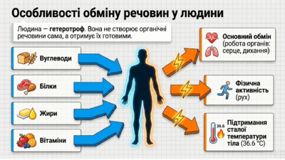 09025yk9-583c-400x225.png