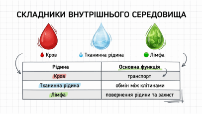 09025ymf-a7e5-406x229.png