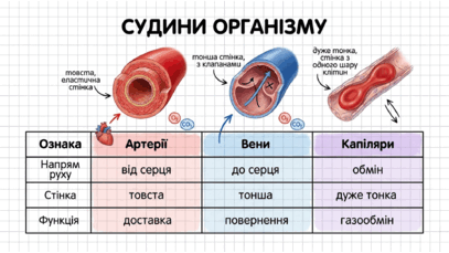09025ymj-b0bb-407x229.png