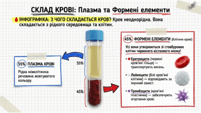 09025ze4-110b-393x221.png