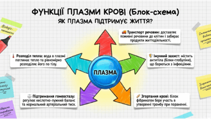 09025zef-dde3-415x234.png