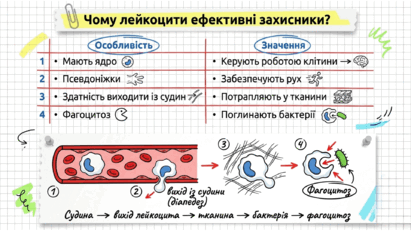 09025zg8-c200-411x231.png