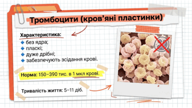 09025zgb-f31b-396x223.png