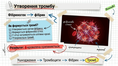 09025zgd-e4ee-415x234.png