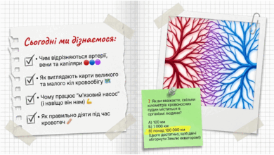 090260gj-f735-390x220.png