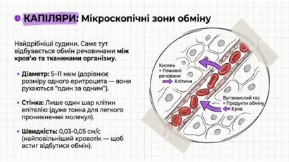 090260gn-9014-411x231.png