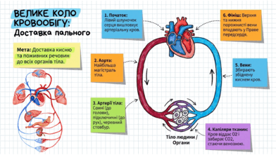 090260go-866a-392x221.png