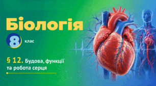 Будова, функції та робота серця. Презентація, інфографіка, робочий аркуш