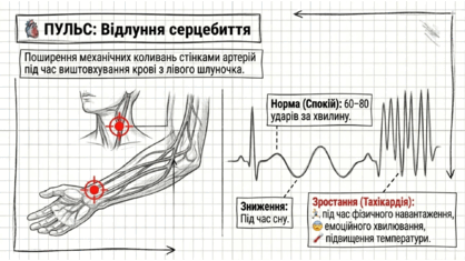 090260hi-0b87-418x235.png