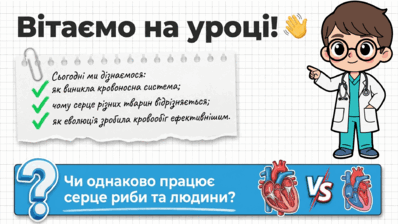 090260ki-b9b6-398x224.png
