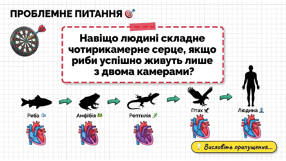 090260kj-349b-415x234.png