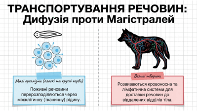 090260kk-0adb-399x225.png