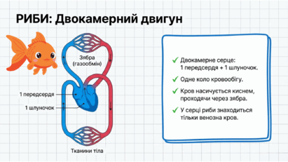 090260ko-bae2-411x231.png
