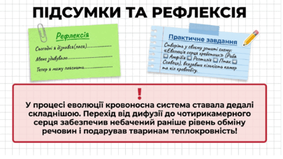 090260kq-f7a6-405x228.png