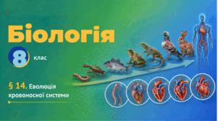 Еволюція кровоносної системи. Презентація, інфографіка, робочий аркуш