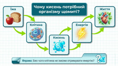 090260l5-51f4-400x225.png