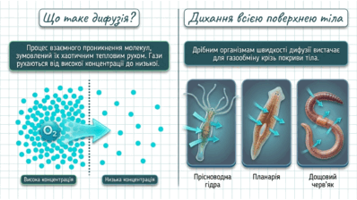 090260l9-e366-398x224.png