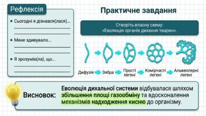090260le-3ead-407x229.png