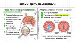 090261jm-0246-246x138.png