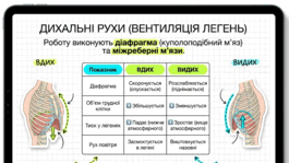 090261js-23d9-265x149.png