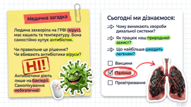 090261l2-843f-383x216.png
