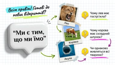 090261ok-82ac-380x214.png