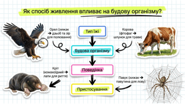 090261om-b269-379x214.png