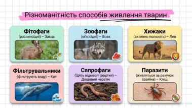 090261op-372f-379x214.png