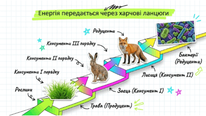 090261oq-74e3-425x239.png