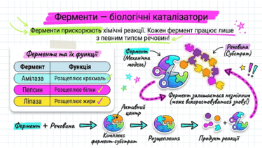 090261or-80d8-374x211.png