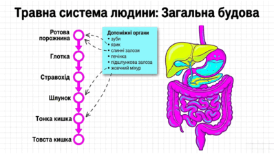 090261pa-6b95-398x224.png