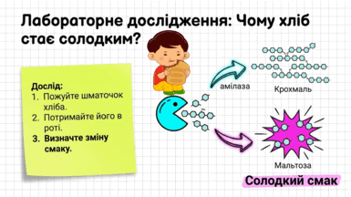 090261pd-9048-385x216.png