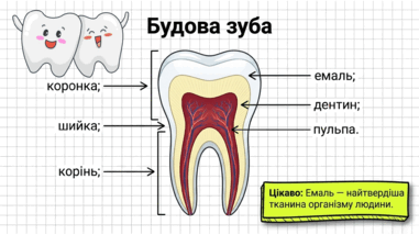 090261ph-1a92-381x214.png