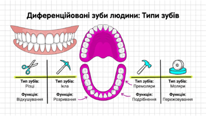 090261pj-18b8-414x233.png