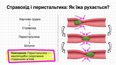 090261pk-e15d-382x215.png