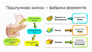 090261q6-66d6-389x219.png