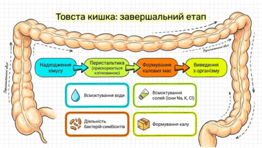 090261q8-e20a-382x215.png
