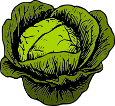 090261y8-f45f-242x222.png
