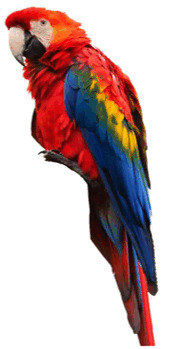 090261z5-0f05-268x509.png