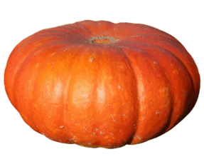 090261zk-9c63-287x220.png