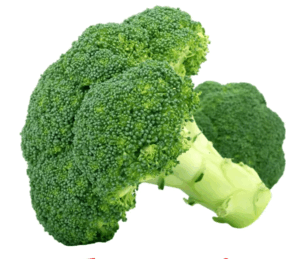 090261zm-6272-305x259.png