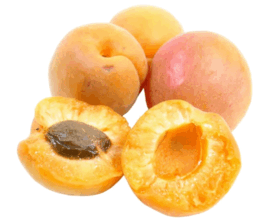 090261zt-7af5-269x220.png