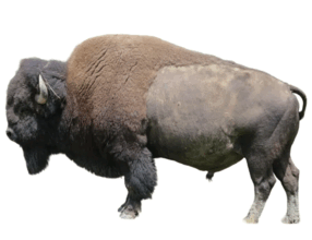 09026202-af47-286x220.png