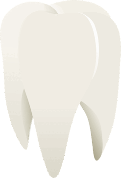 09026206-6e1a-247x363.png
