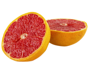 09026209-254a-307x238.png